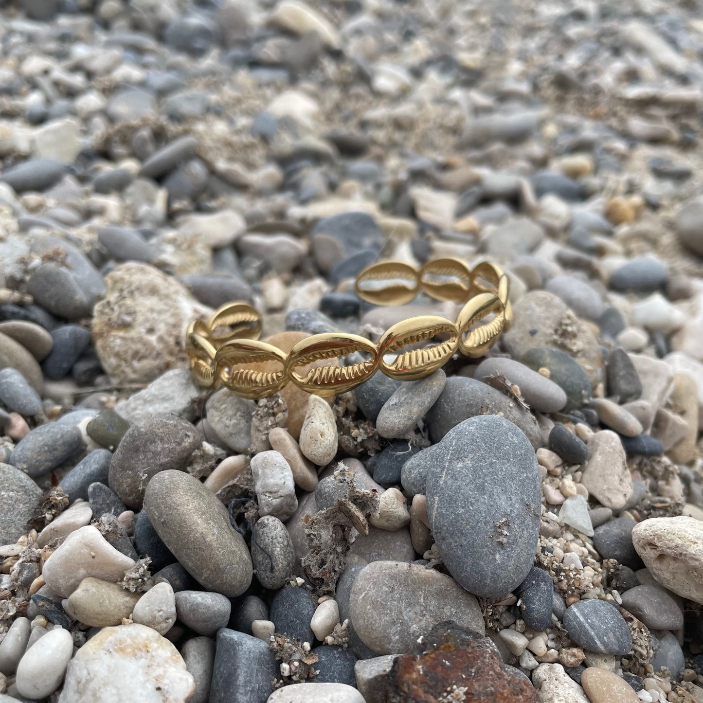 Bracelet | Sea Shell Golden